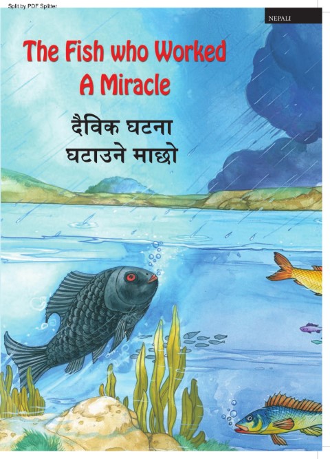 The Fish who Worked a Miracle